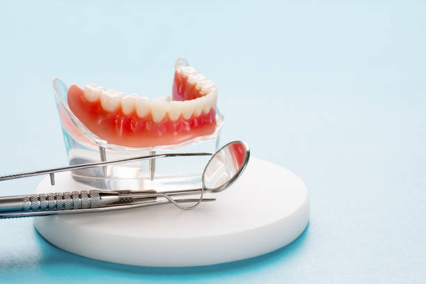 Best Traditional Braces  in Laurel, DE